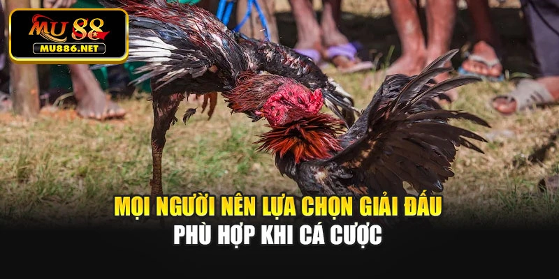 Mọi người nên lựa chọn giải đấu phù hợp khi cá cược