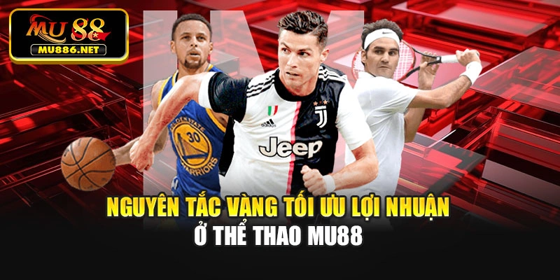 Nguyên tắc vàng tối ưu lợi nhuận ở thể thao Mu88