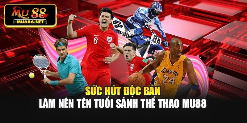 Sức hút độc bản làm nên tên tuổi sảnh thể thao Mu88